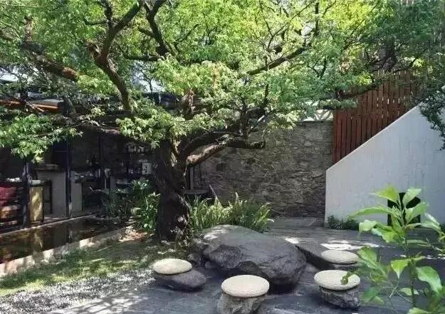 青島庭院設計 青島庭院設計
