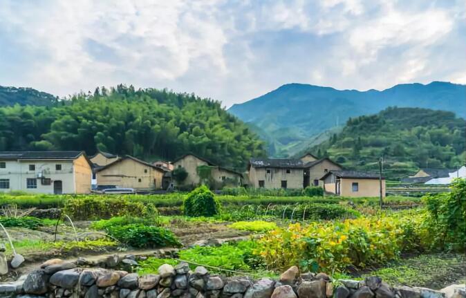 青島花園設計 青島花園設計