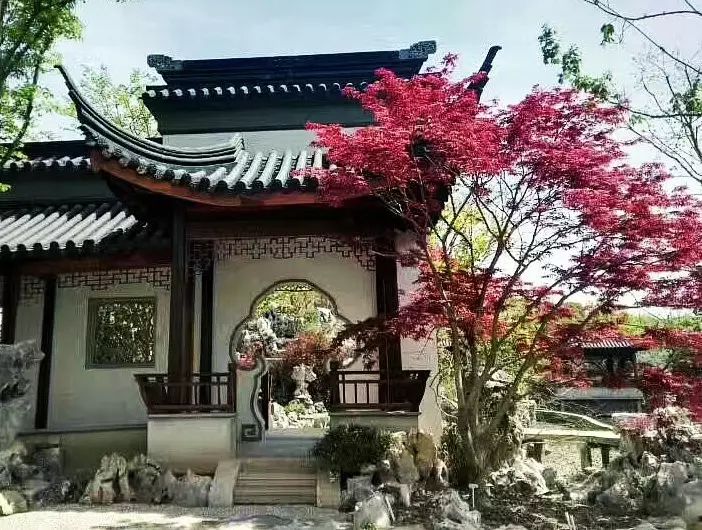疏密曲直，起承轉合，中式院落布局的藝術